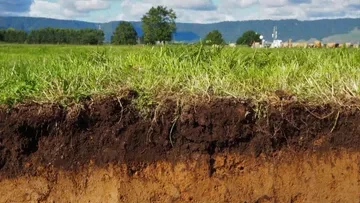 Здоровье почвы: между химией и природой