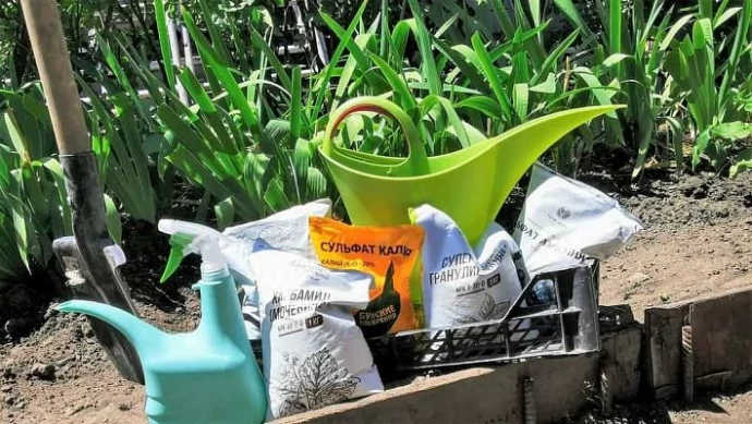 Как правильно выбрать удобрения для сада: важные моменты